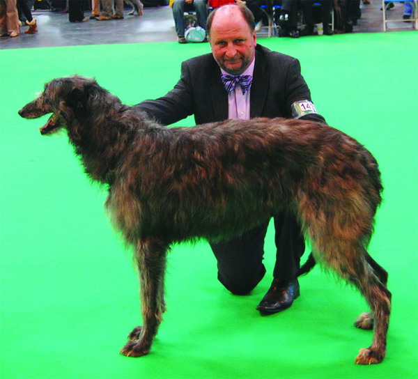 Crufts 2011 Bitch RCC